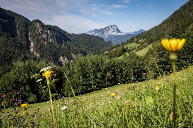 Kaisertal Pfandlhof Bergkhof