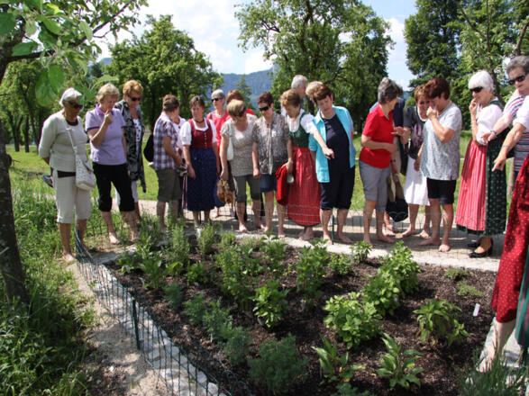 Kneippanlage Mondsee