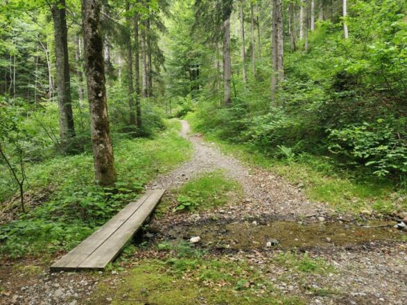 Scheffau_Seebachgraben_Wanderweg_Wilder Kaiser