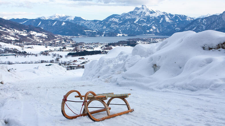 Rodelspaß mit genialer Aussicht