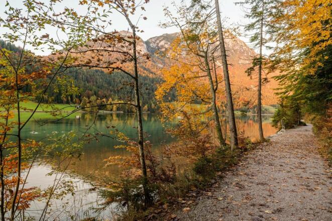 Scheffau_Hintersteiner See_Herbst_Wilder Kaiser