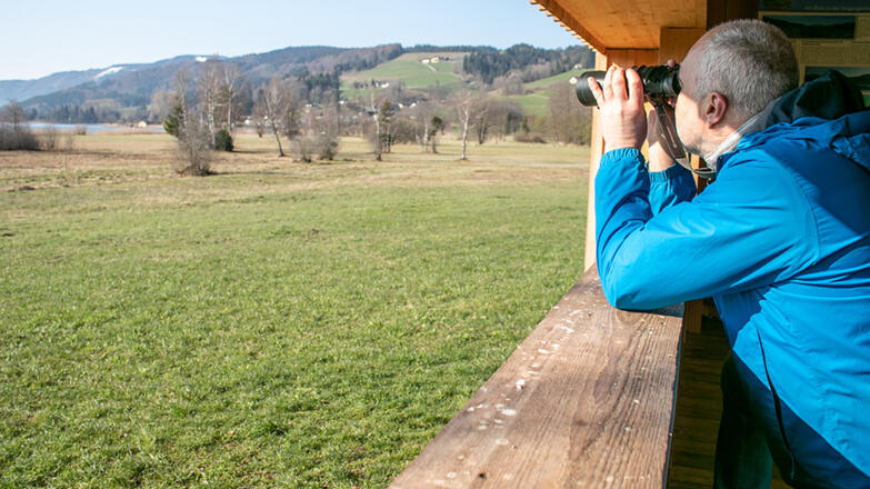 Nordmoor am Irrsee mit Vogelbeobachtungshütte