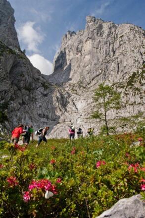 Ellmau_Eggersteig_Wilder Kaiser