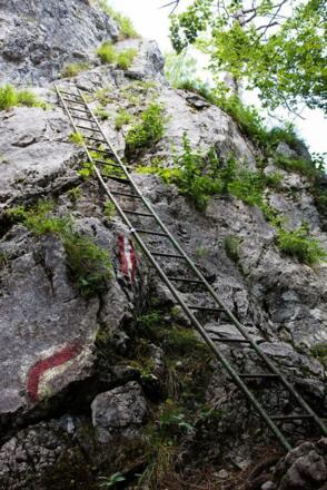 Going_Schleierwasserfall_Leiter_Wilder Kaiser