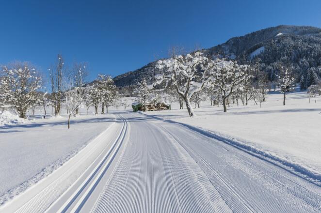 Söll_Schattseitloipe_Wilder Kaiser