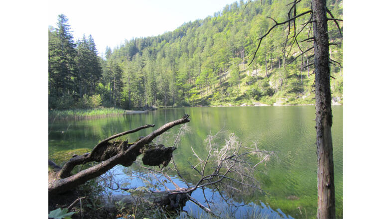 Eibensee