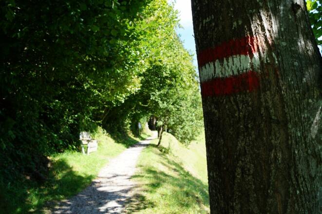 Söll_Dorfrunde_Wegmarkierung_Wilder Kaiser