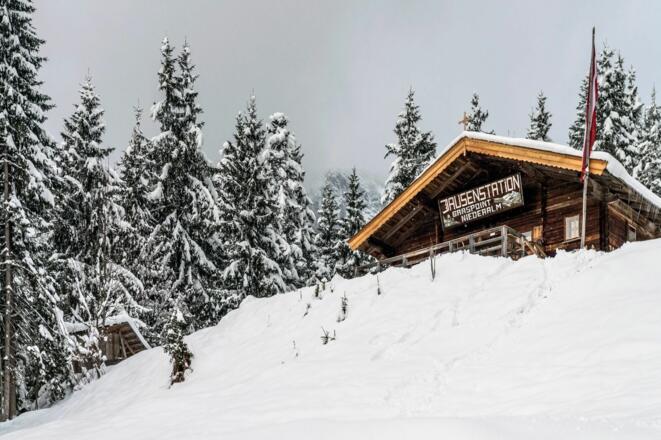 Going_Graspoint Niederalm_Wilder Kaiser