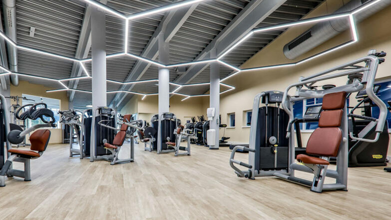 Trainingsbereich