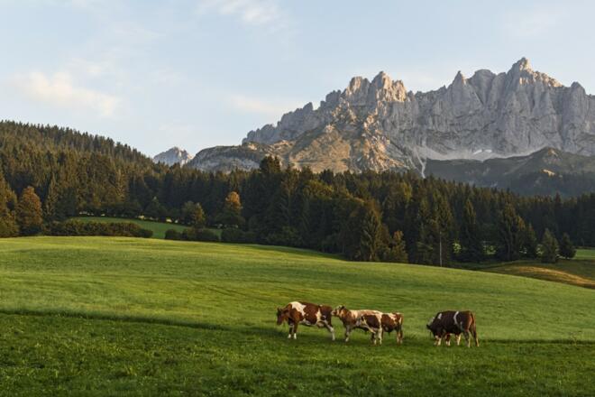 Landschaft Wilder Kaiser