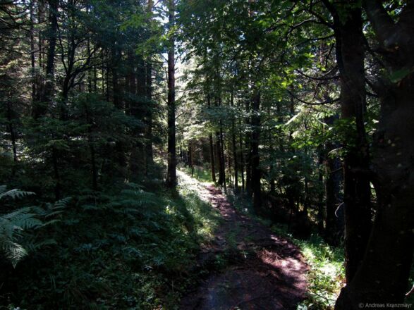 Scheffau_Jagersteig_Wilder Kaiser