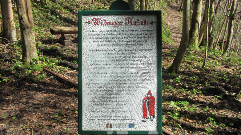 Ruine Wildenegg Tafel