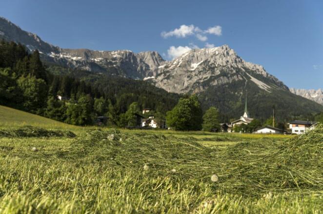Scheffau_Ortsansicht_Wilder Kaiser