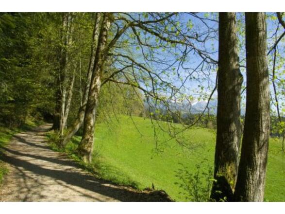 Söll_Sunnseitweg_Wilder Kaiser