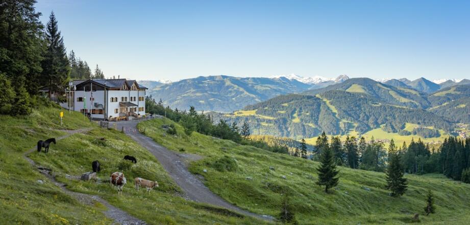 Going_Gaudeamushütte_Wilder Kaiser