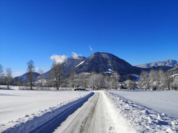 Scheffau_Soell_Kaiserblick-Winterrunde_Hauning_Blick zum Pölven_Wilder Kaiser