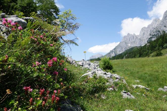 Going_Schleierwasserfall_Abzweigung_Wilder Kaiser