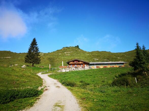 Scheffau_Kafma Alm_Sommer_Wilder Kaiser