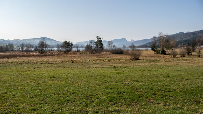 Naturschutzgebiet Nordmoor am Irrsee