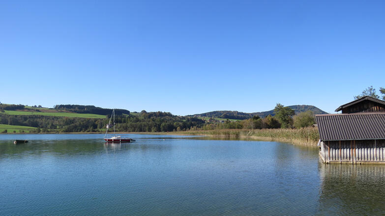 Naturschutzgebiet Irrsee