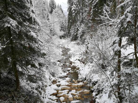 Scheffau_GlasklareBäche_Winterrunde_Trattenbach_Wilder Kaiser