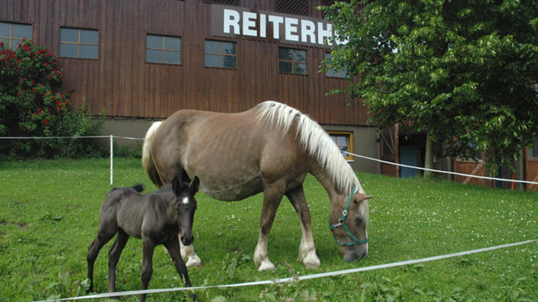 Reiterhof Schinagl
