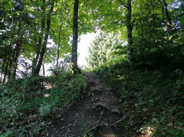 Going_Hollenau_Astberg_Weg Nr7_Wilder Kaiser
