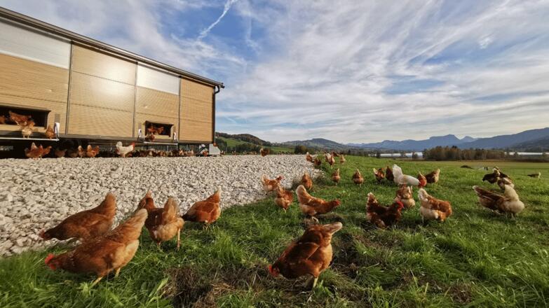 Glüxegg am Sunnhof