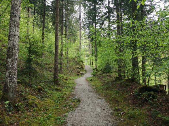 Scheffau_Kneipprundweg_Wilder Kaiser
