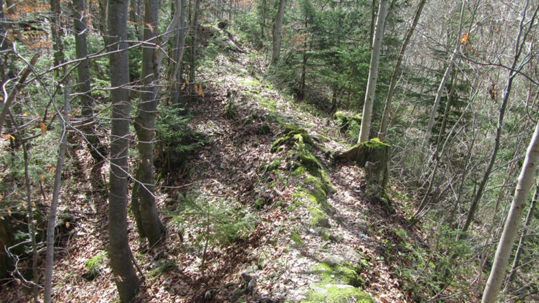Ruine Wildenegg