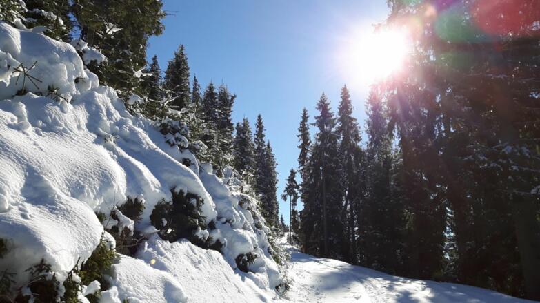 Ellmau_Biedringer Platte_Winterwanderung_Wilder Kaiser