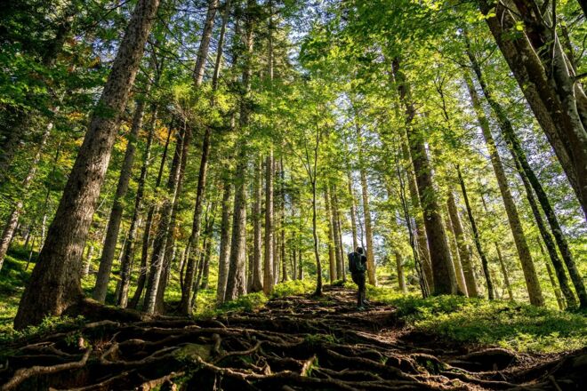Going_Weg Nr. 817_Wilder Kaiser