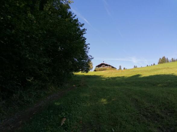 Going_Wandern_Hollenauer Kreuz Runde_Weg Nr6_Wilder Kaiser