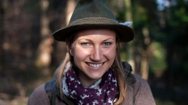 Die Waldliesel