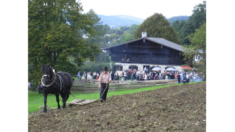 Freilichtmuseum Mondseer Rauchhaus