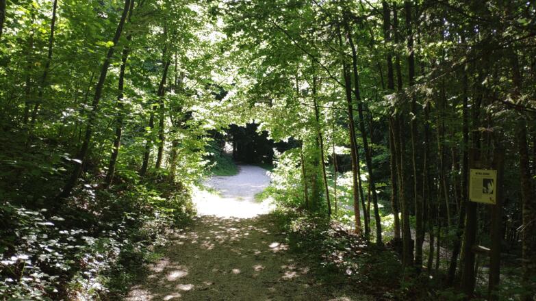 Elisabeth-Waldweg