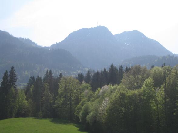 Stadlmann