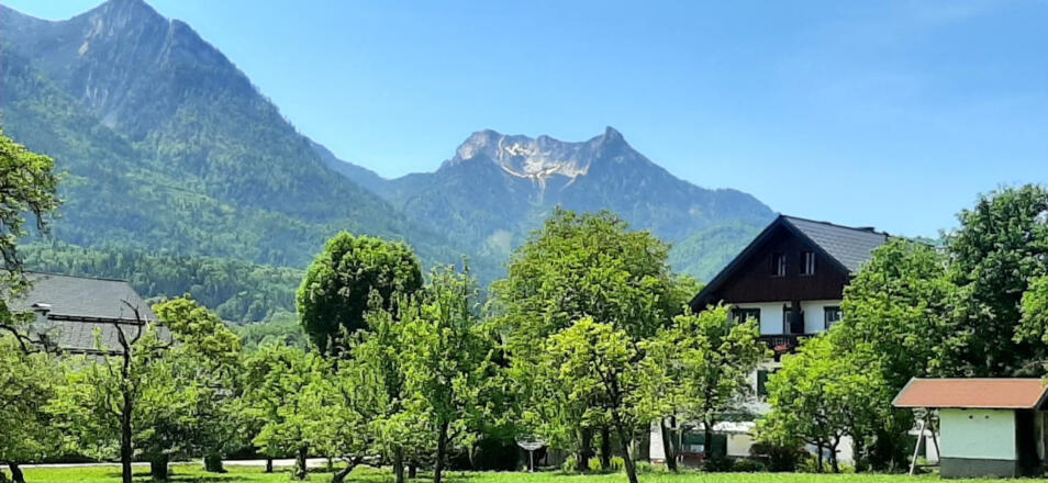 Bauernhof Schennerbauer