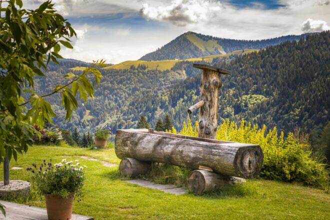 Holzbrunnen Hauserhütte