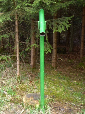 Mit dem Fernrohr tief in den Wald hineinschauen.