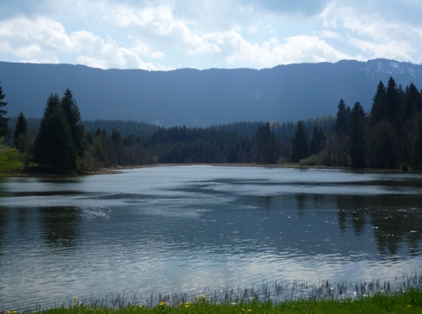 Idyllisch liegt der Fronreitner See vor den bewaldeten Hügeln des Alpenvorlands.