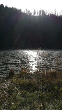 Fiblingsee in Fuschl