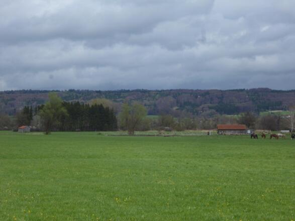 Am südöstlichen Ende des Weidengrabens befindet sich eine Pferdekoppel.