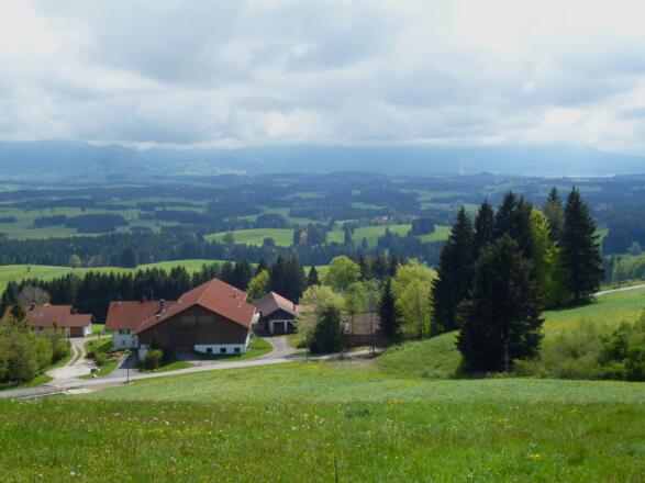 Oberhalb von Sennhof ein herrlicher Blick über das Alpenvorland zu den Ammergauer und Allgäuer Alpen.