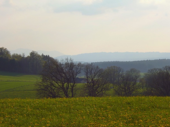 Idyllischer Blick vom Schellenberg nach Südwesten.