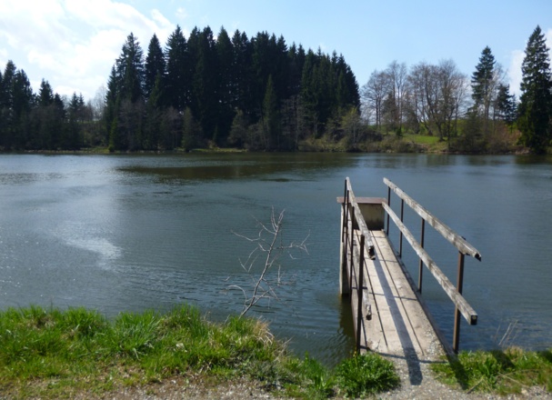 Ein kleiner Steg führt vom Ufer in den Fronreitner See.