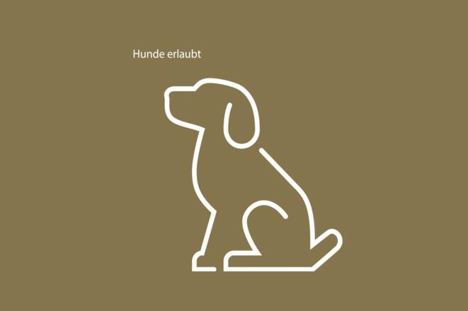 APP_Ikons_Quadrat_Hund