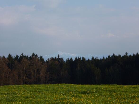 Grandioser Blick vom Schellenberg auf die Bayerischen Alpen.