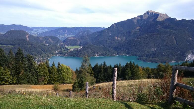 Blick vom Zwölferhorn zum Wolfgangsee