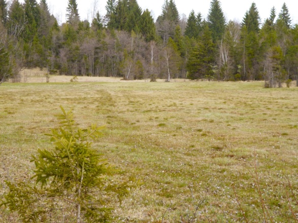 Das idyllische Breitfilz nordöstlich von Schönberg.